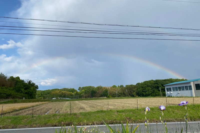 昨日の夕方　虹　発見！！

　